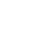Pub Burger